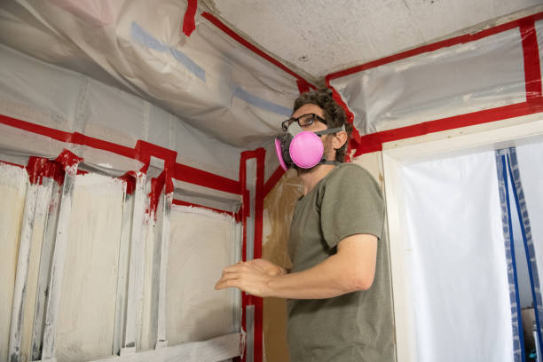 Best Water Damage & Mold Remediation  in North Shore, CA