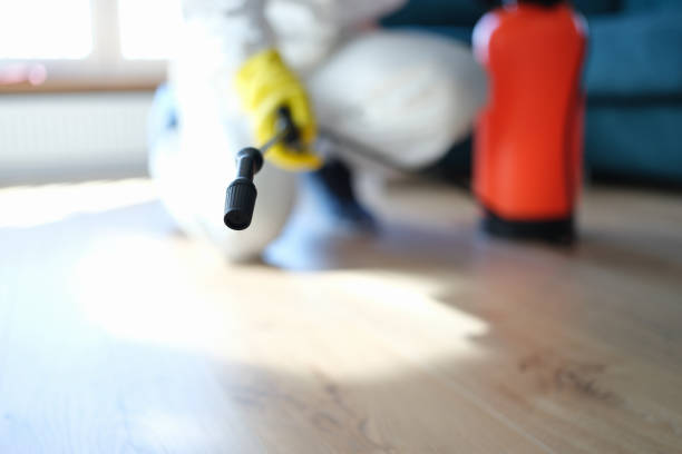 Best HVAC Mold Inspection and Cleaning  in North Shore, CA