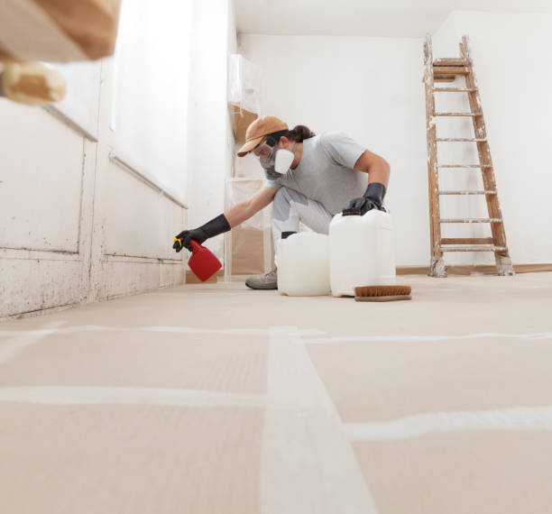 Best Post-Construction Mold Inspection  in North Shore, CA
